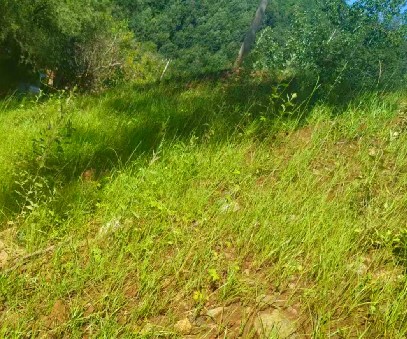 柳關(guān)欒盧鉛鋅礦|治理排土“瘡疤”，繪就綠色畫卷